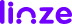 Linze Home Icon