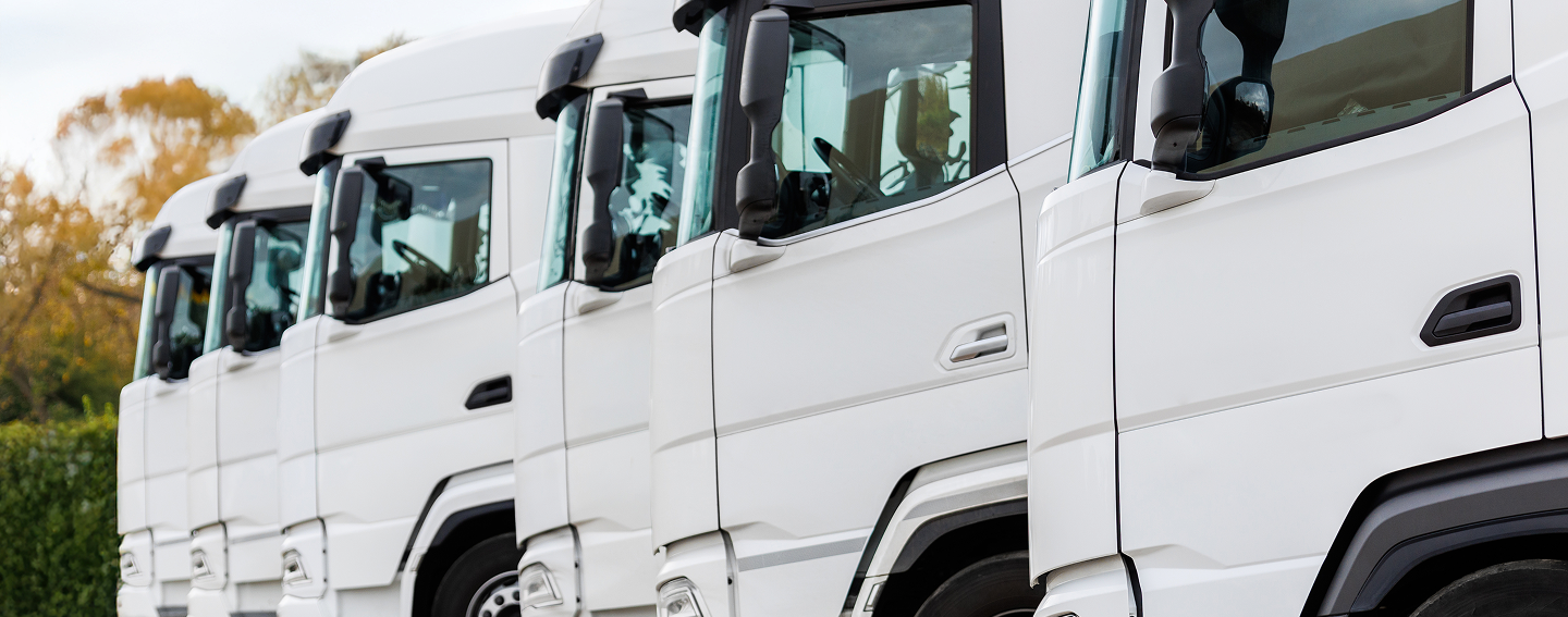 Camionetas y furgones